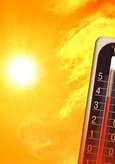 ALERTE CANICULE